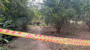 花蓮男涉殺女友　地院裁定羈押禁見