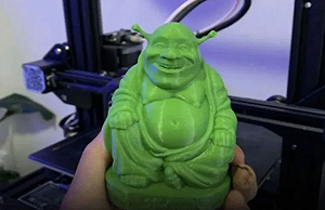 菲國女子膜拜4年的「綠色佛像」竟是「它」!  網笑 : 觀音也可能化身