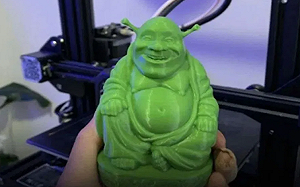 菲國女子膜拜4年的「綠色佛像」竟是「它」!  網笑 : 觀音也可能化身