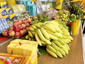 用香蕉打敗中國！「台蕉9號」戰勝恐怖真菌　將取代中國華蕉成全球主流