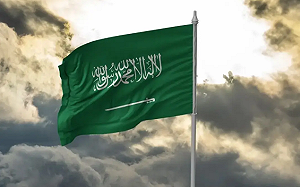 沙國促葉門南部對話、沙阿支持分裂勢力、南葉門獨立風險升高