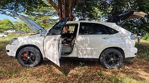 赴柬埔寨從事詐騙黑吃黑兇殺頻傳  警勸：勿拿命賭