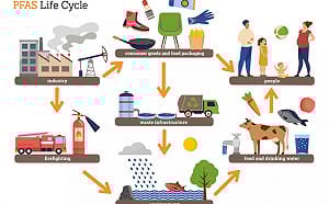 蔡筱穎觀點》去毒物保健康！法國PFAS禁令生效 推動全球化工行業轉型