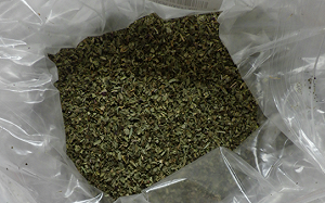 知名品牌進口「埃及羅勒葉」農藥超標！5000公斤全數攔截