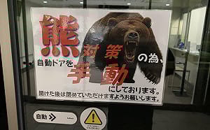 4.7萬起、捕1.2萬頭、13死230傷  日本2025年熊出沒事件創「三高」