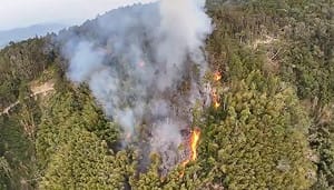 雲林草嶺村火燒山持續延燒 今出動直升機空中灑水搶救