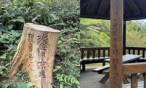 不滿敬老票漲10元！南投溪頭園區遭塗鴉抗議「欺負老人」  園方：依法追究