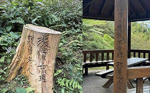 不滿敬老票漲10元！南投溪頭園區遭塗鴉抗議「欺負老人」  園方：依法追究