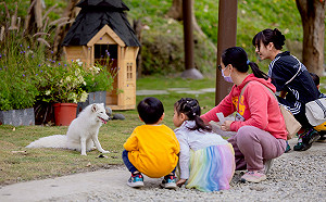 高雄內門「野森動物學校」1/17起試營運    官網完成預約購票方可入園
