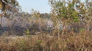 濁水溪沿岸多起雜草火警　彰化消防籲謹慎用火