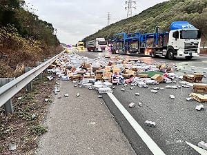 國3大甲段汽車閃動物屍體致追撞  貨物散落一地