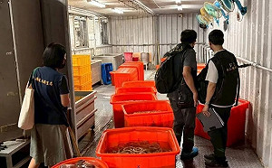 黑心雙氧水豬大腸2噸流入市場！百威食品老闆等3人遭起訴