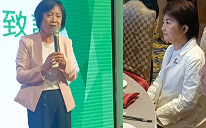 何欣純要普發現金！盧秀燕再喊窮說不發  藍綠小雞各說各話