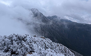 強烈冷氣團發威！合歡山、玉山凍成銀白世界 夢幻畫面曝光