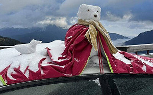 超夢幻！合歡山冰霰地毯厚鋪10公分 遊客手巧堆「紅披風雪熊」萌翻