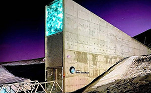 格陵蘭第二？！挪威媒體警告：中俄的目標是斯瓦巴群島