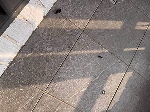 台中住宅陽台玻璃汽車遭鋼珠毀損 警鎖定犯嫌偵辦