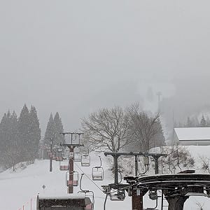 台灣遊客日本滑雪場出事！6人滑雪迷路受困今晨獲救