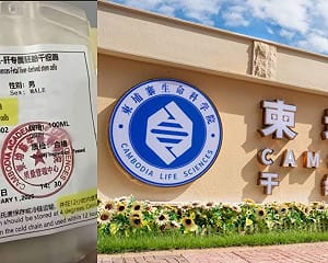 柬埔寨器官黑市升級！假體檢強餵藥45天  蒙面反詐博主：15歲少年遭拆解轉賣