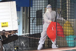 急堵尼帕病毒! 致死率達75% 印度發全國警報、泰國加強航班防疫篩檢