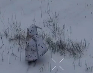 （影）俄軍棄守赫爾松關鍵區域! 俄兵扮企鵝、躲坦克 均遭無人機一網打盡