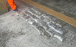 新北萬里驚現32包「漂流大麻」！重達43公斤市價破6000萬