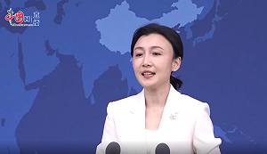 國共兩黨智庫論壇是否觸及鄭習會安排？國台辦未正面回應