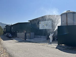 豐原1700隻蛋雞暴斃  盧秀燕:全面撲殺案雞隻   追蹤蛋下架
