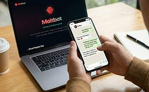 爆紅AI助理「龍蝦Clawdbot」玩諧音梗挨告！改名自嘲「脫殼」更完美