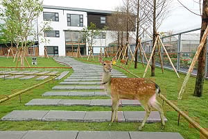 兒子涉空拍機投毒遭起訴！張美阿嬤農場發聲明切割 粉專直言：兒子是巨嬰