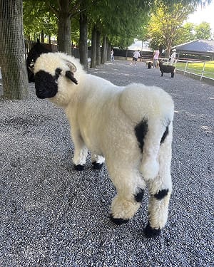 樹懶餐廳切割投毒男王逢昇！嗆保留法律追訴權　他再抓：同個共犯體系