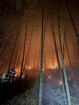 雲林草嶺石壁二度森林大火！6火點延燒逾8小時  今晨撲滅控制