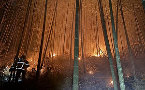 雲林草嶺石壁二度森林大火！6火點延燒逾8小時  今晨撲滅控制