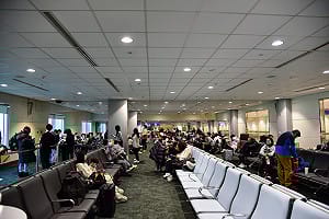 春節出國注意！日韓流感升溫、東南亞「蟲媒傳染病」延燒  疾管署列防疫重點