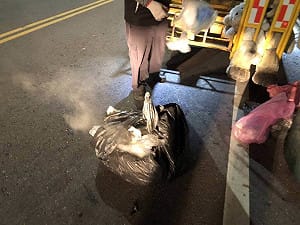 亂倒鋰電池高雄1天2垃圾車起火　未分類最高罰6千