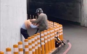 逆向撞人還毆打老夫婦！惡男遭起底 遭高市環保局停職調查