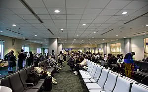 春節出國注意！日韓流感升溫、東南亞「蟲媒傳染病」延燒  疾管署列防疫重點