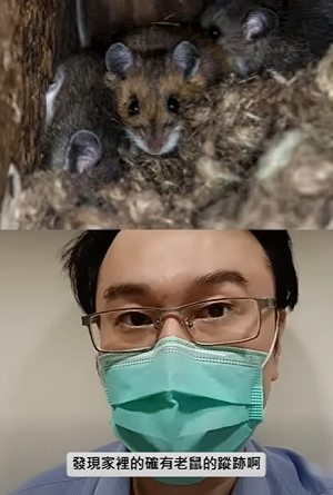 今年首例亡！漢他病毒可怕在初期「太像風寒」 胸腔醫點名這「4類人」最危險