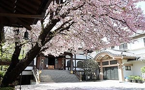 迎接新年！日本東京4大精選「走春參拜之旅」快筆記