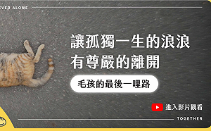 幫浪浪火化募款千萬？「毛孩的彩虹天堂」負責人侵占爽消費遭起訴