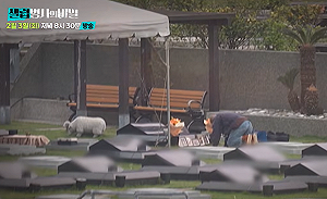 絕非運氣不好！大S離世真相今晚公開　韓醫嘆：早在生產時就埋下禍根