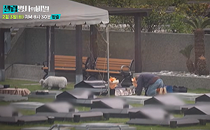 絕非運氣不好！大S離世真相今晚公開　韓醫嘆：早在生產時就埋下禍根