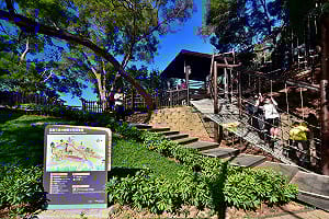 走春好去處 台中大坑步道特色滿點