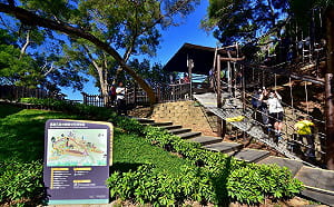 走春好去處 台中大坑步道特色滿點