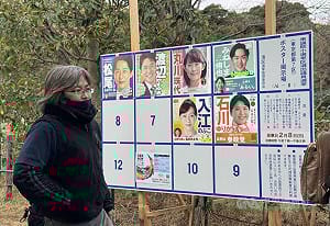 民調：日本眾院大選　執政聯盟可望囊括逾6成席次
