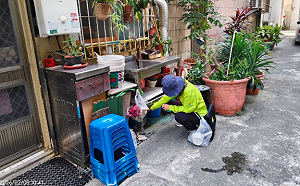 高雄今年首例境外登革熱！台籍男印尼返國確診住院治療中