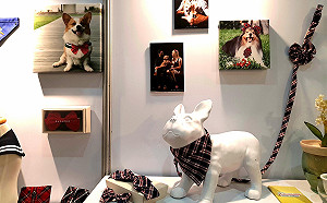 開創新南向市場  台文創公司赴泰秀創意