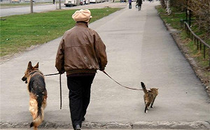 入秋首波東北季風報到！明低溫再降2度