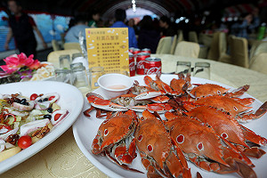 秋風起  品嚐鮮美萬里蟹宴正對時