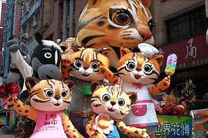 提倡石虎保育 台中花博將訂定自治條例